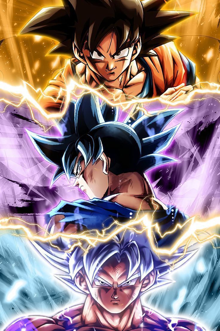 imagen11