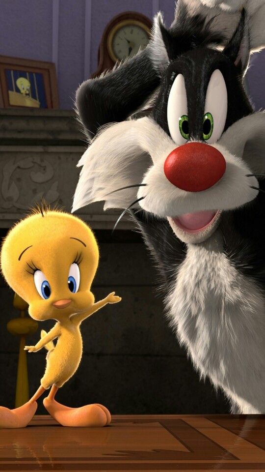 imagen29